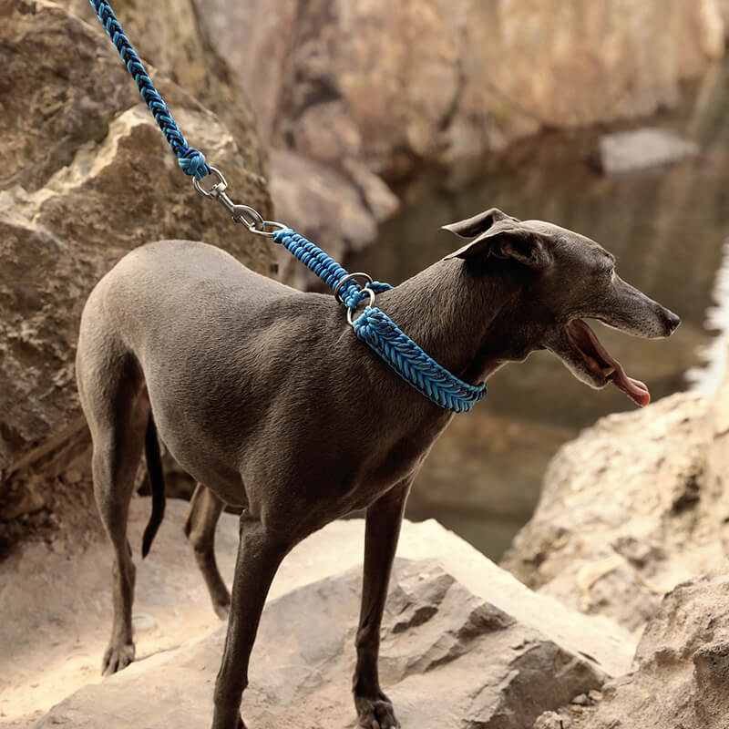 Handmade Anti-Pull Luminous Large Dog Collar and Lead - Image 3