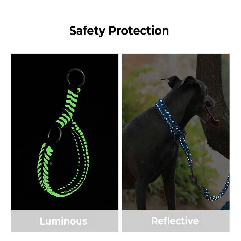 Handmade Anti-Pull Luminous Large Dog Collar and Lead - Image 7