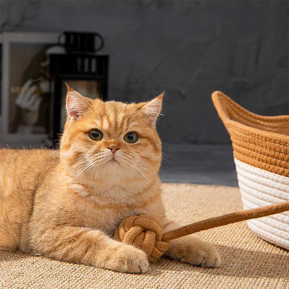 Handmade Cosy Multi-Use Durable Woven Cat Nest Bed - Image 5