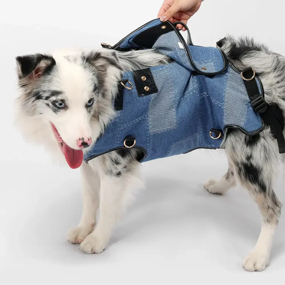 Hands-Free Dog Backpack Carrier for Travel & Hiking – Multifunctional Pack for Medium Dogs - Image 8