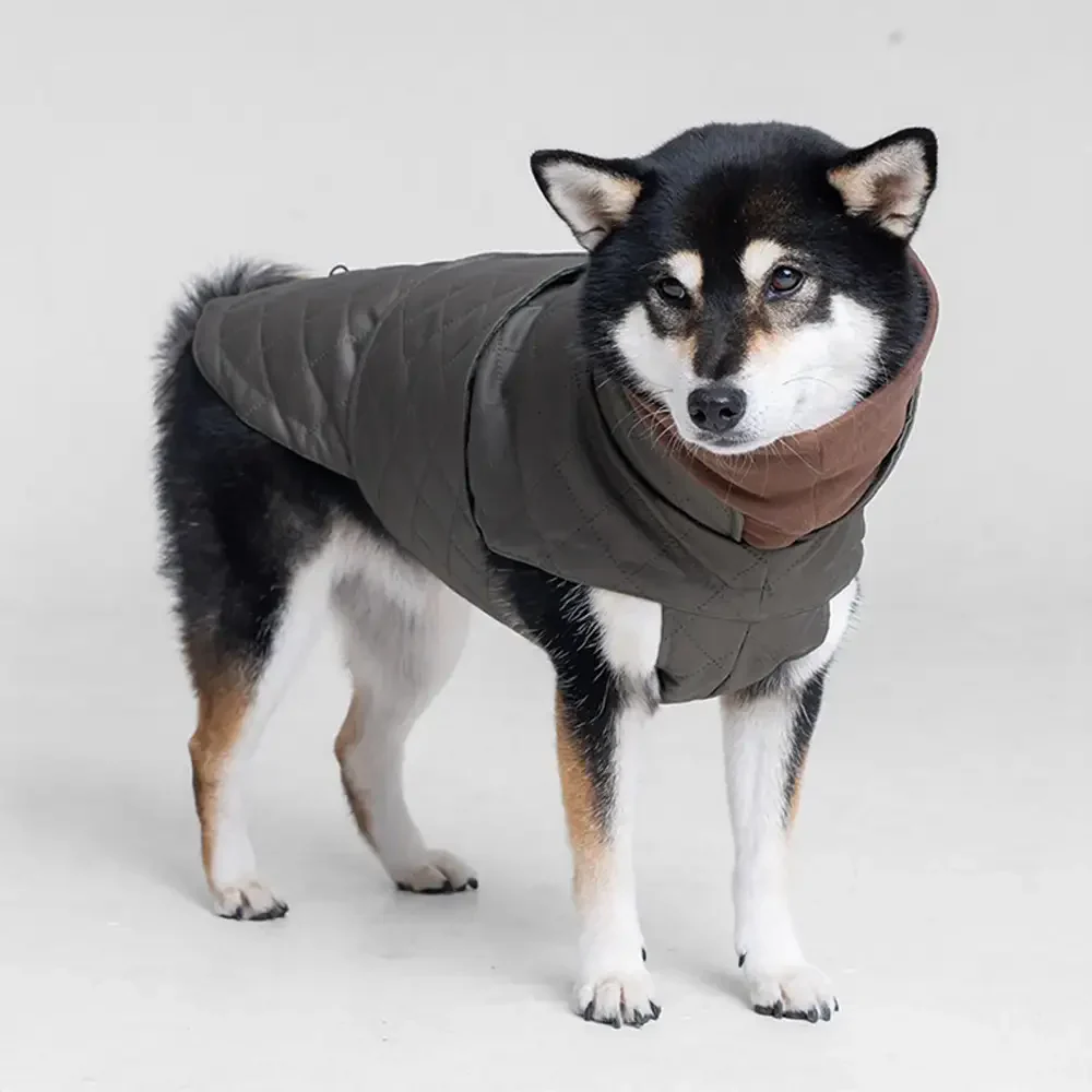 High-Neck Quilted Dog Vest – Warm Fashion Winter Coat - Image 9