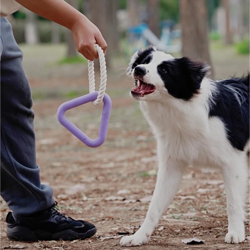 Interactive Tug-of-War Dog Toy Teeth Cleaning Rubber Chew Toy - Image 4