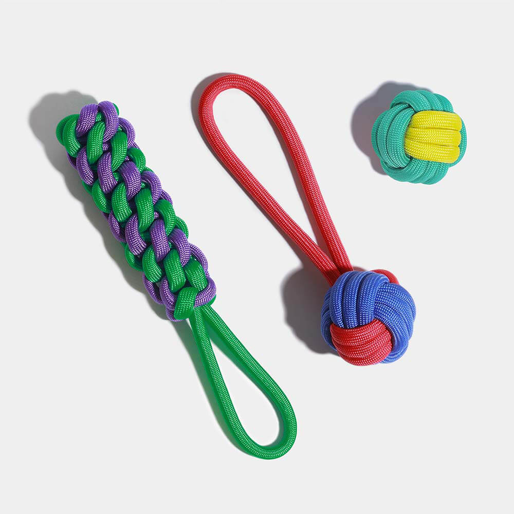 Knots Rope Dog Toy Set - Colour Clash - Image 10