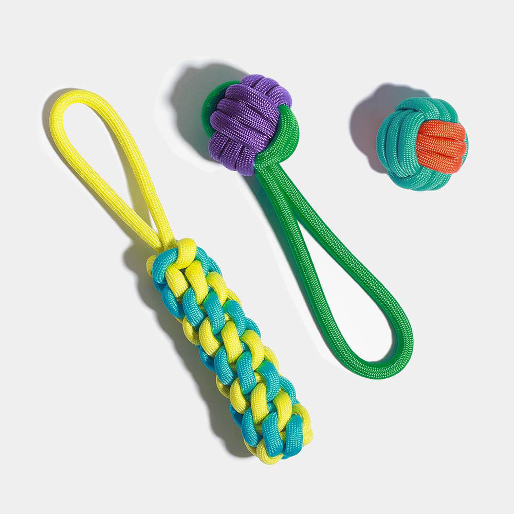 Knots Rope Dog Toy Set - Colour Clash - Image 9