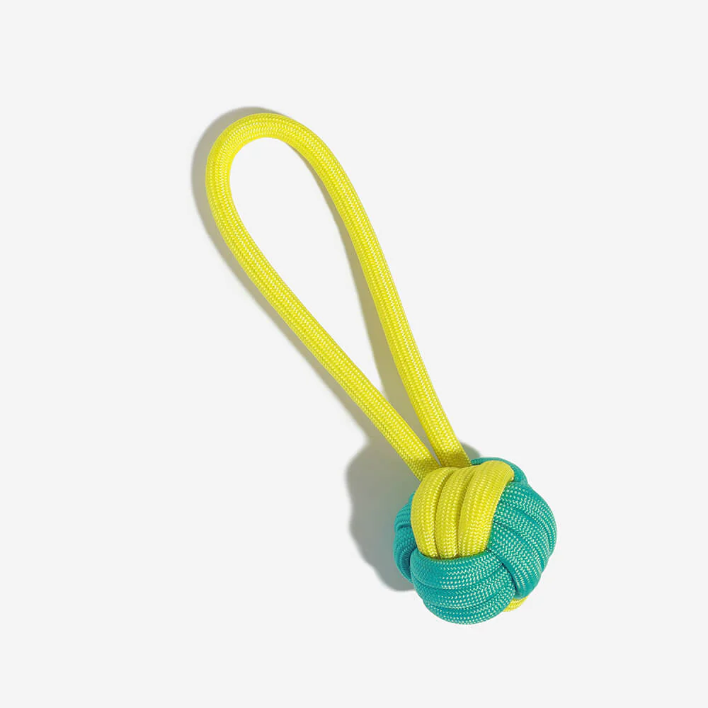 Knots Rope Tug Dog Toy - Colour Clash - Image 9