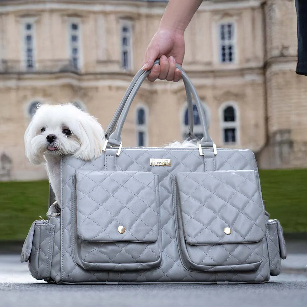 Large Carrying Stylish Multi-Functional Human-Dog Shared Travel Pet Bag - Wandering Tail - Image 14