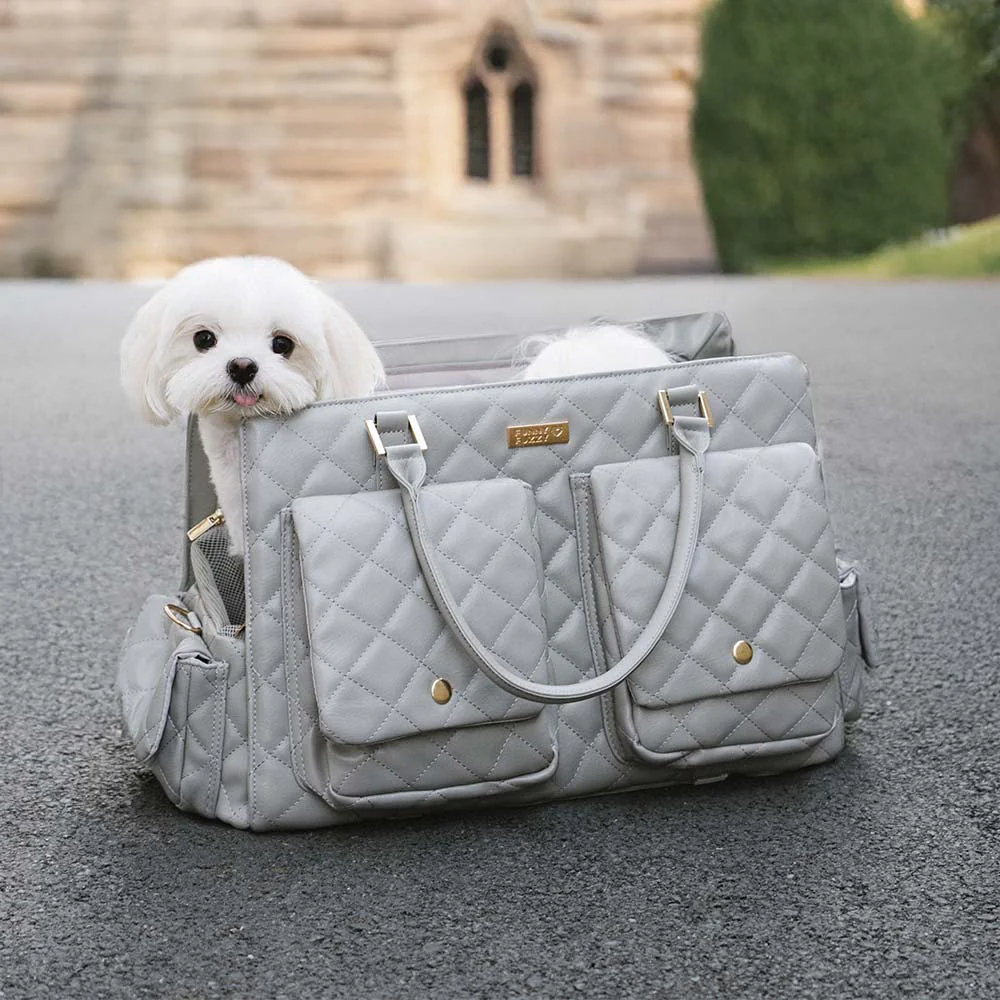 Large Carrying Stylish Multi-Functional Human-Dog Shared Travel Pet Bag - Wandering Tail - Image 20