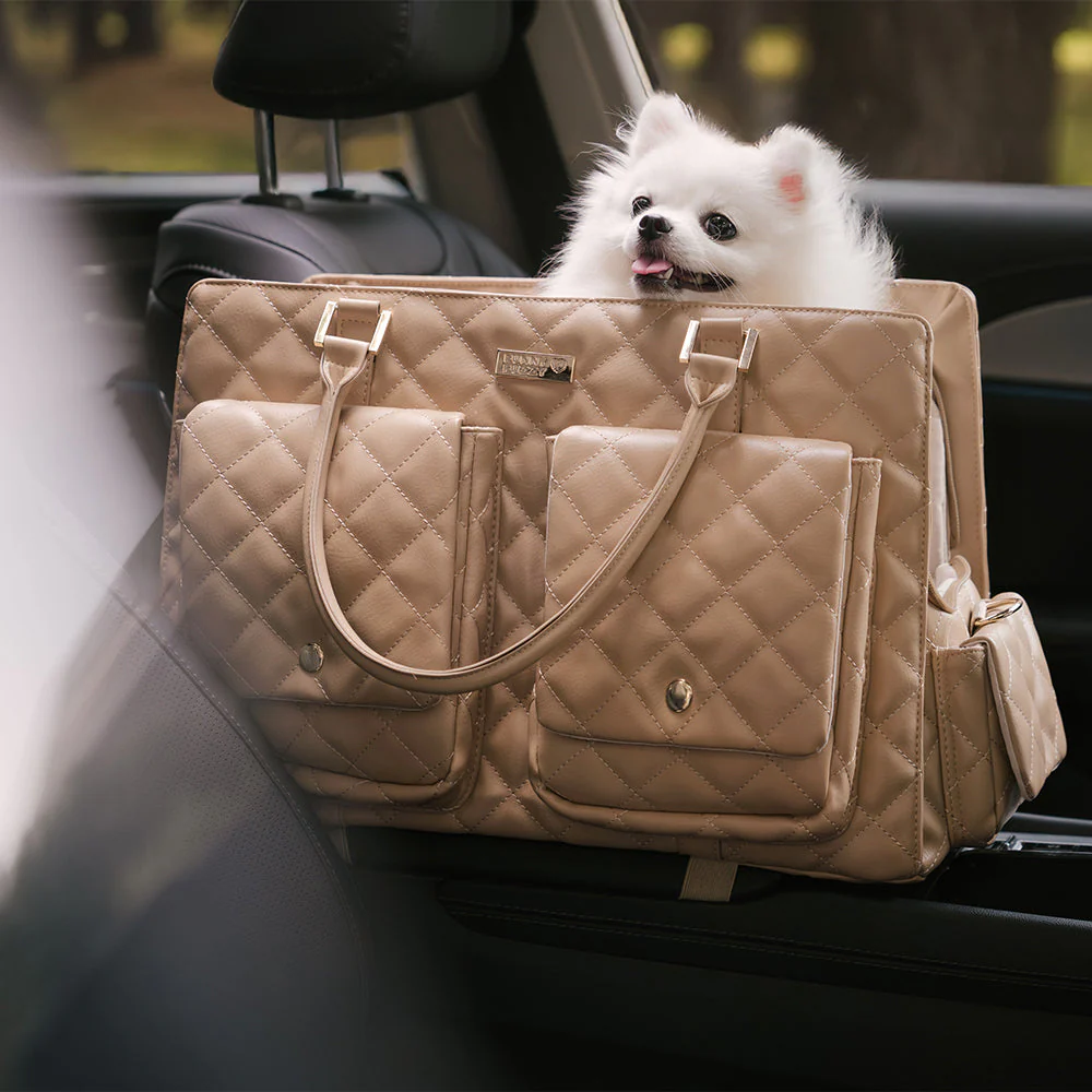 Large Carrying Stylish Multi-Functional Human-Dog Shared Travel Pet Bag - Wandering Tail - Image 28