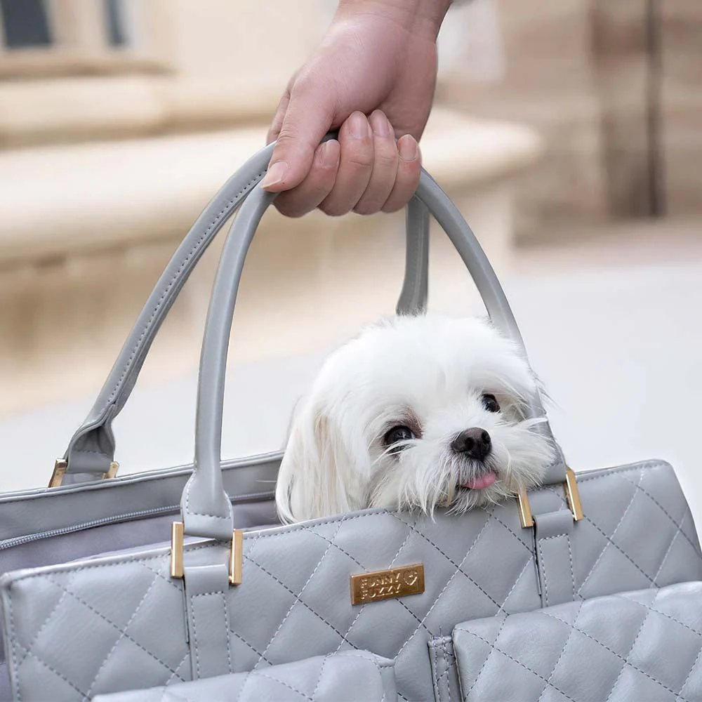 Large Carrying Stylish Multi-Functional Human-Dog Shared Travel Pet Bag - Wandering Tail - Image 3