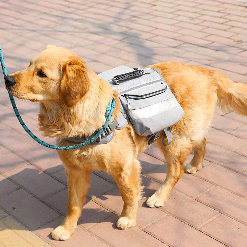 Large Dogs Tactical Dog Harness Self-Pack - Image 11