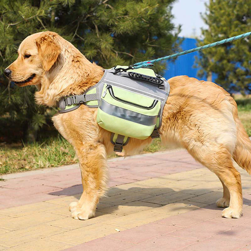Large Dogs Tactical Dog Harness Self-Pack - Image 7