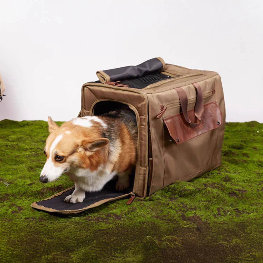 Large Space Breathable Mesh Waterproof Travel Pet Carrier Backpack - Image 4