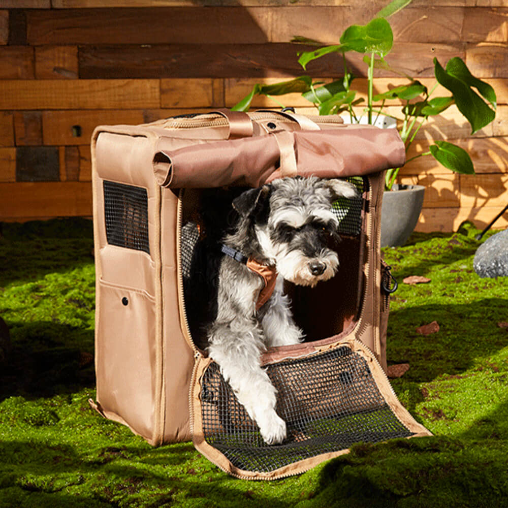Large Space Breathable Mesh Waterproof Travel Pet Carrier Backpack - Image 9