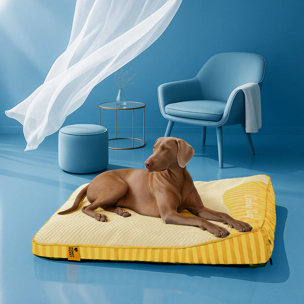 Large Washable Cooling Non-slip Dog Mat - Cooling Nap - Image 23
