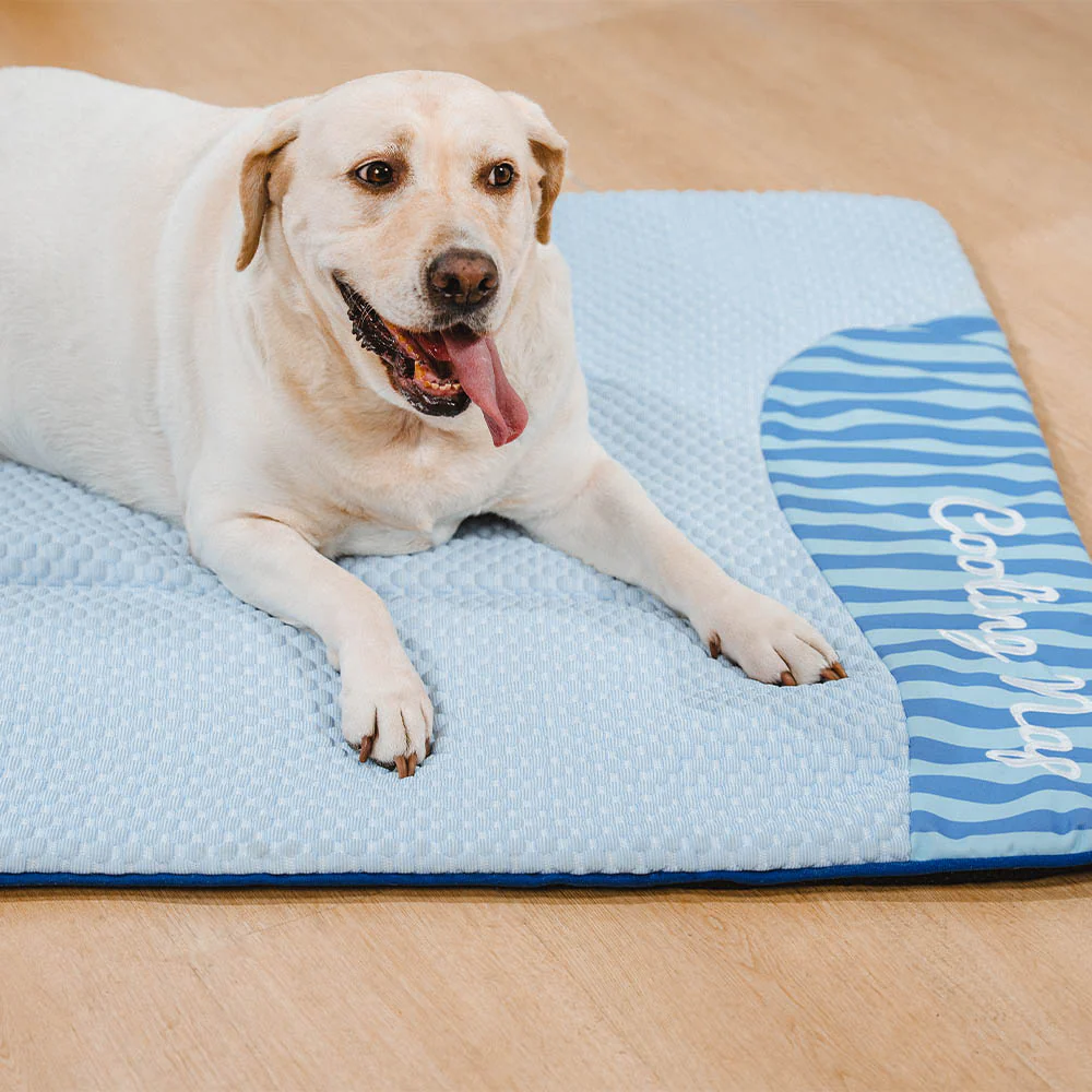 Large Washable Cooling Non-slip Dog Mat - Cooling Nap - Image 6