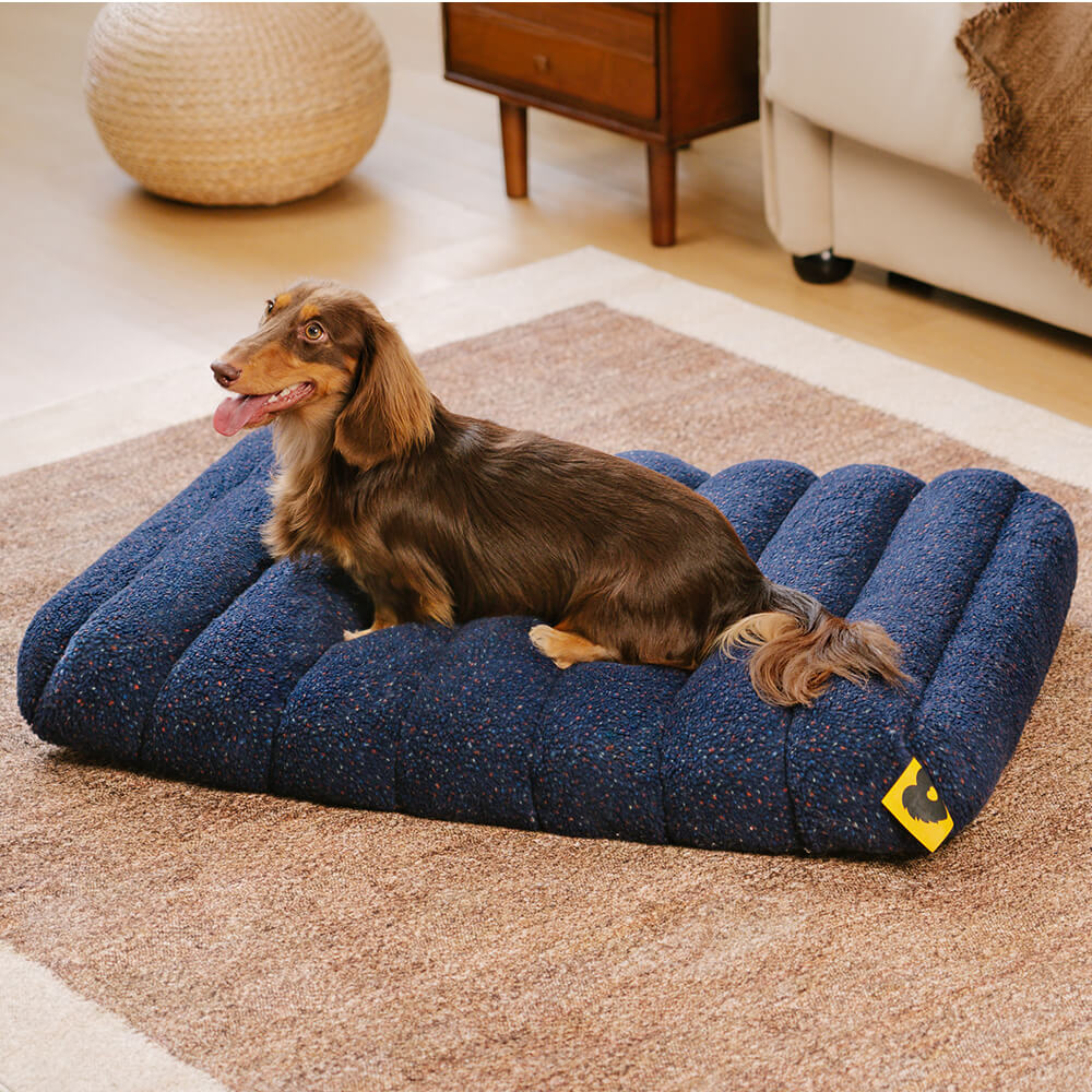Large Washable Creamy Cosy Flat Dog Beds - Cheesecake - Image 10