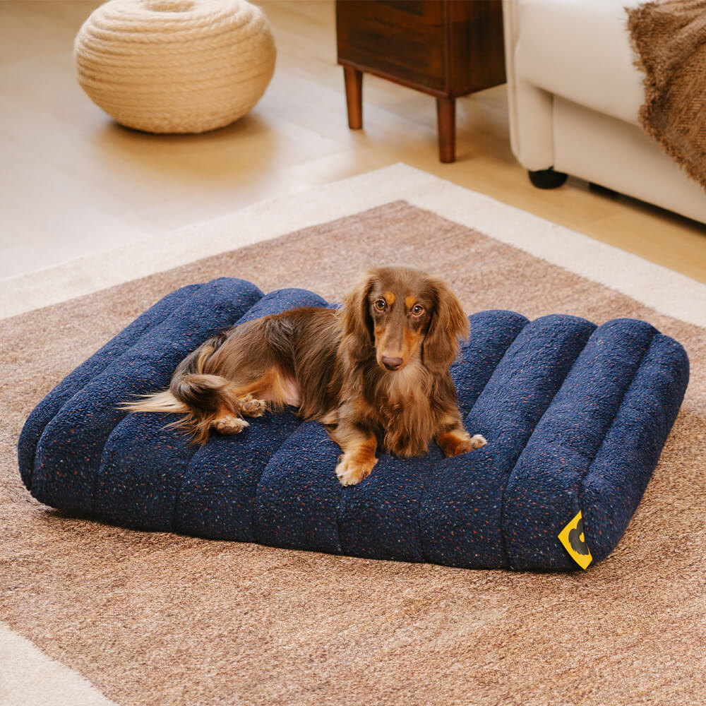 Large Washable Creamy Cosy Flat Dog Beds - Cheesecake - Image 5