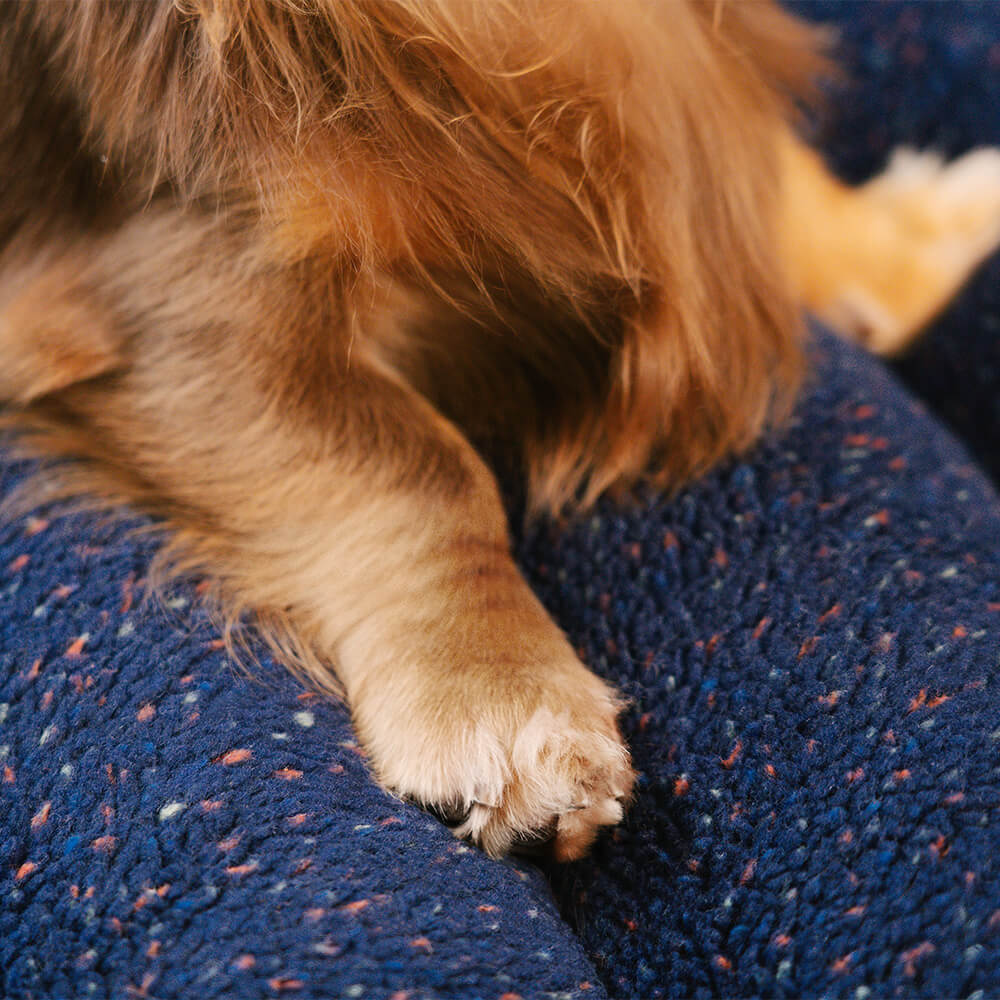 Large Washable Creamy Cosy Flat Dog Beds - Cheesecake - Image 6