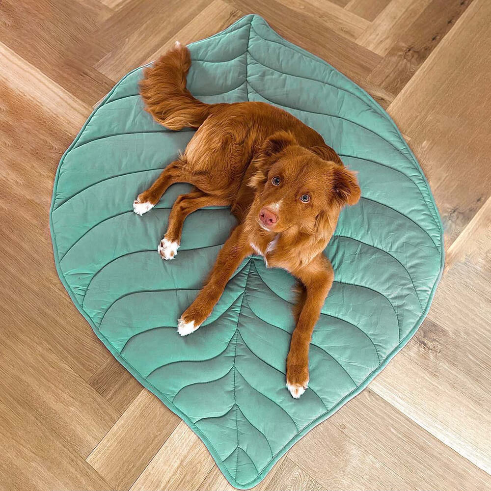 Leaf Shape Dog Blanket - Image 10