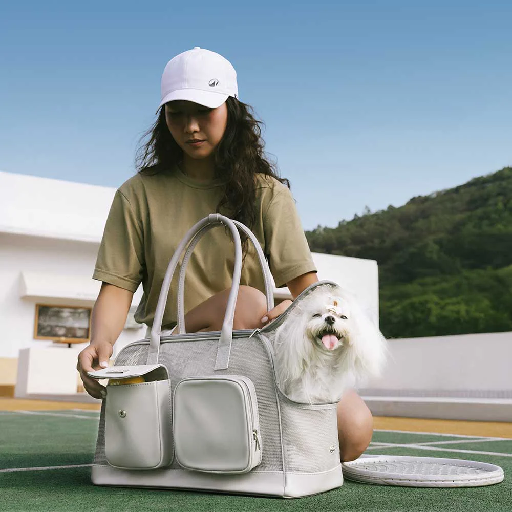 Lightweight Breathable Mesh Safe Pet Carrier - Urban Ease - Image 10