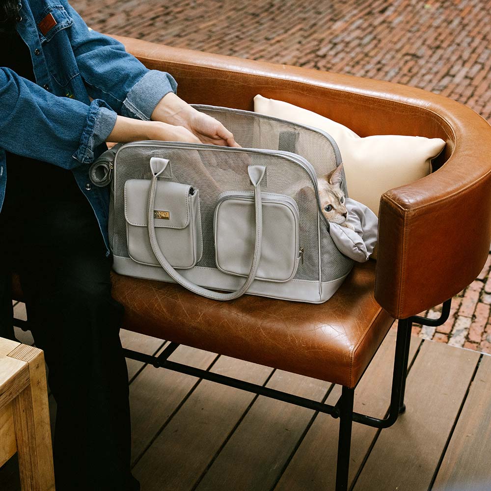 Lightweight Breathable Mesh Safe Pet Carrier - Urban Ease - Image 11