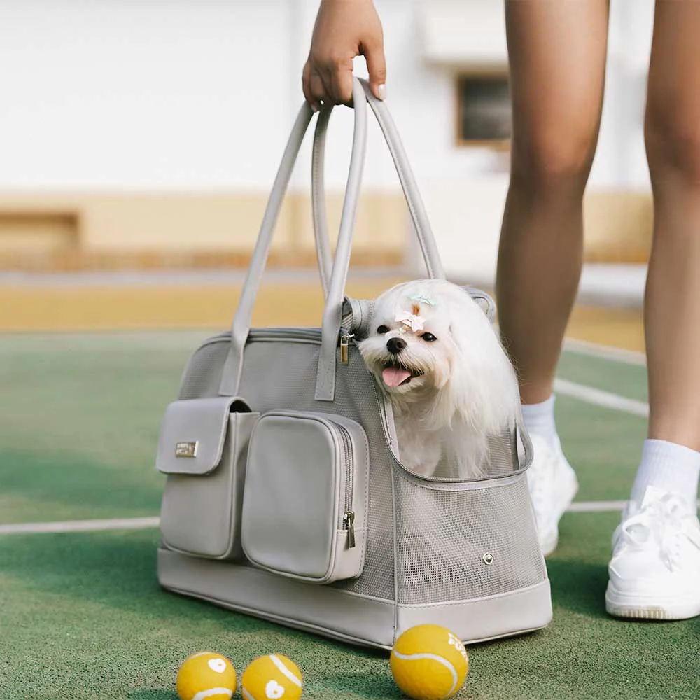Lightweight Breathable Mesh Safe Pet Carrier - Urban Ease - Image 12