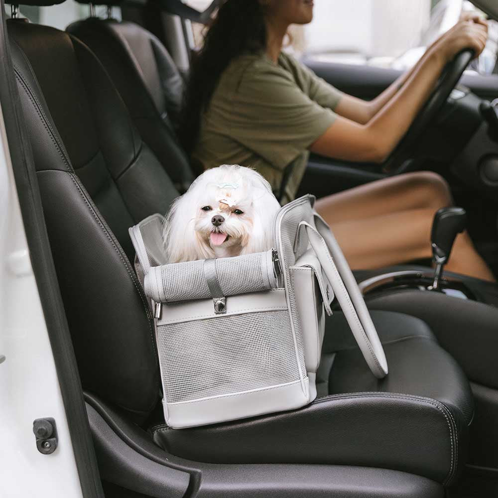 Lightweight Breathable Mesh Safe Pet Carrier - Urban Ease - Image 13