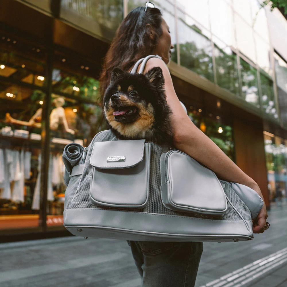 Lightweight Breathable Mesh Safe Pet Carrier - Urban Ease - Image 14