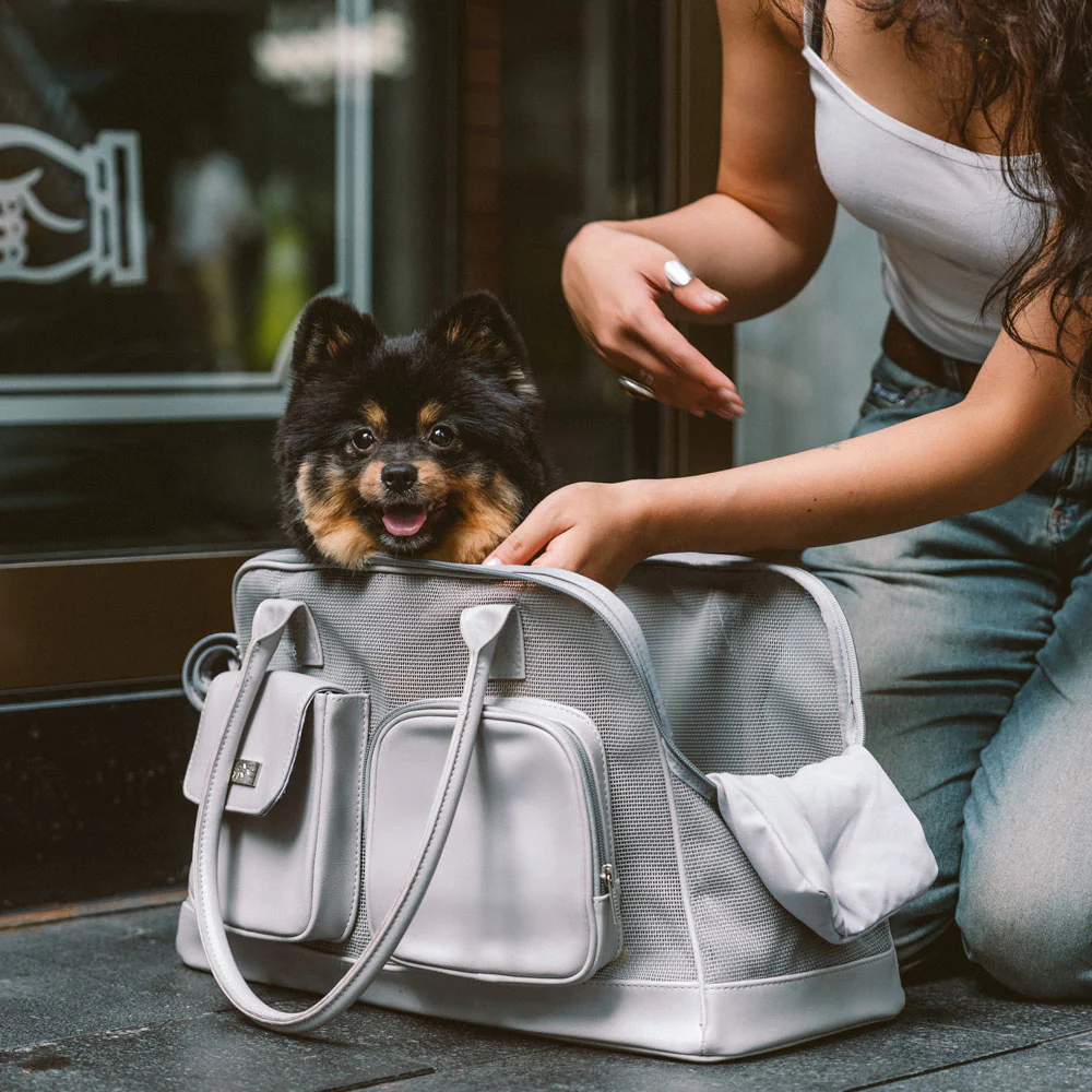 Lightweight Breathable Mesh Safe Pet Carrier - Urban Ease - Image 8