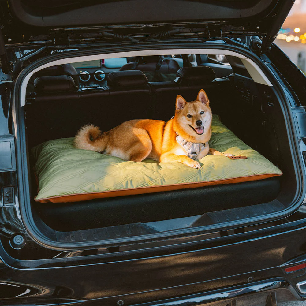 Luxury Water-repellent Dual-Sided Calming Dog Mat - Image 14