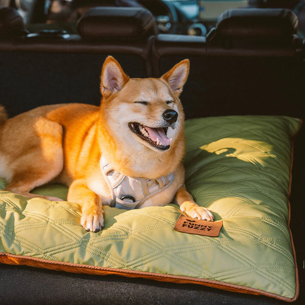 Luxury Water-repellent Dual-Sided Calming Dog Mat - Image 16
