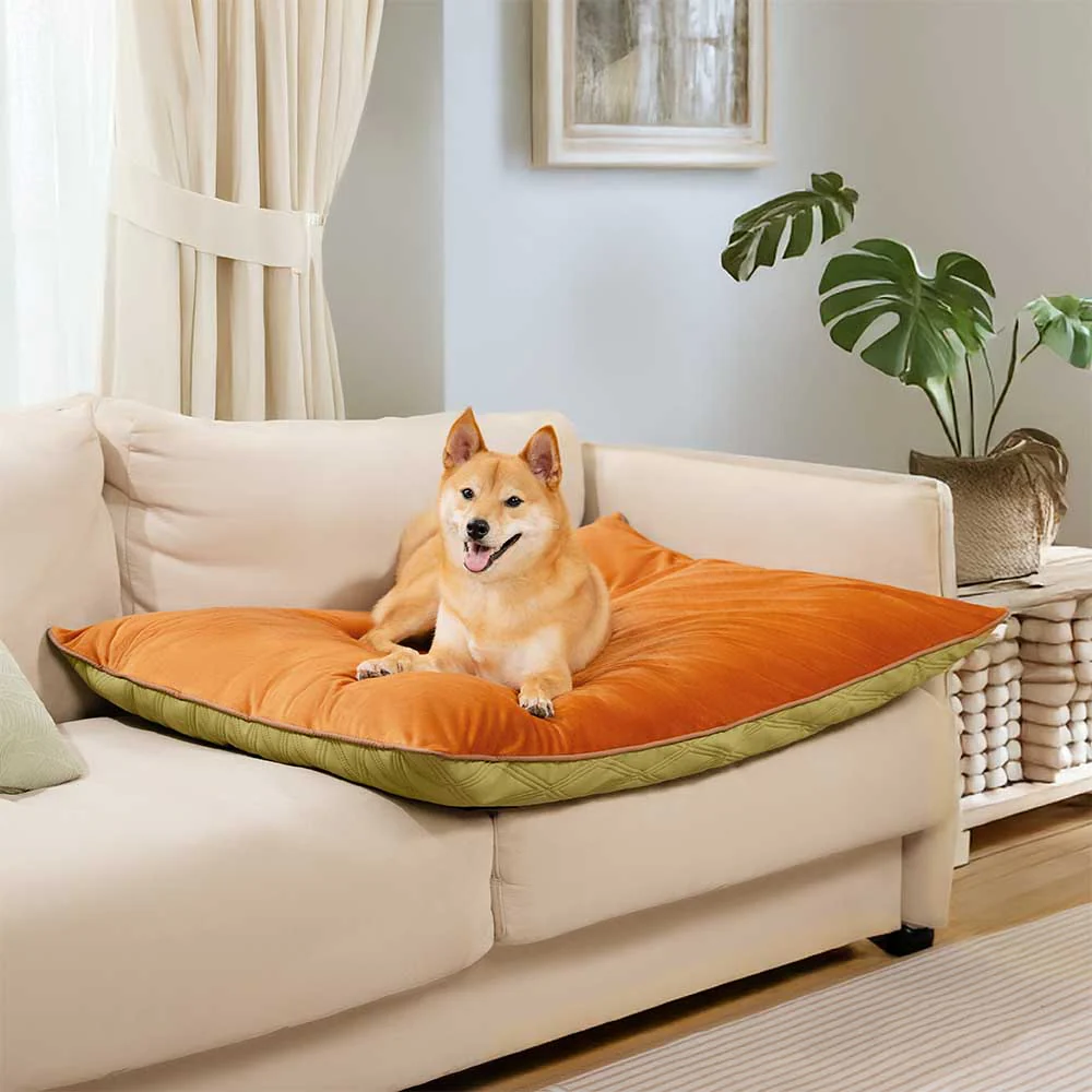 Luxury Water-repellent Dual-Sided Calming Dog Mat - Image 2