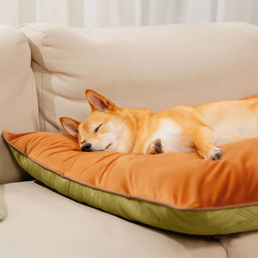 Luxury Water-repellent Dual-Sided Calming Dog Mat - Image 9