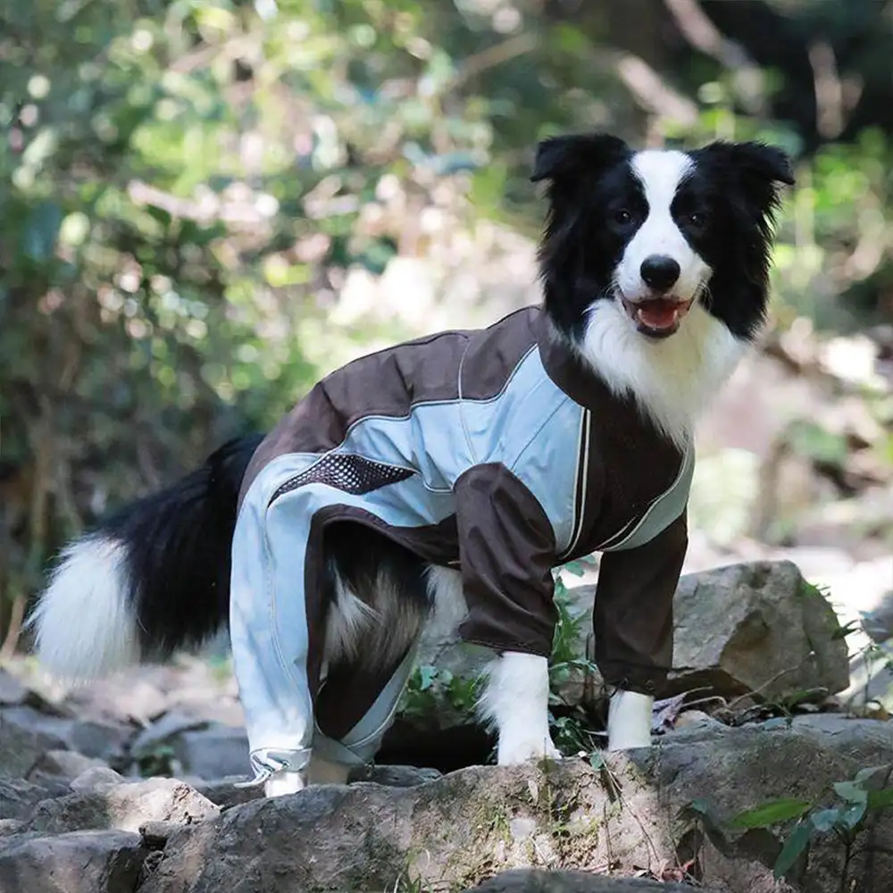 Multi-Functional Waterproof Windproof Dog Windbreaker Coat for Medium & Large Dogs - Image 4