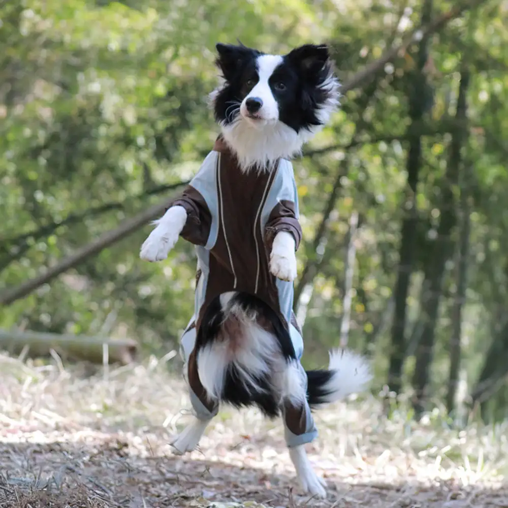 Multi-Functional Waterproof Windproof Dog Windbreaker Coat for Medium & Large Dogs - Image 5