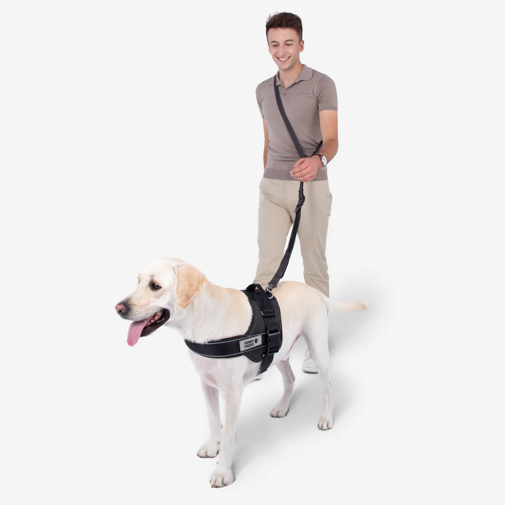 Multifunction Hands Free Dog Lead With Safety Seat Belt - Image 7