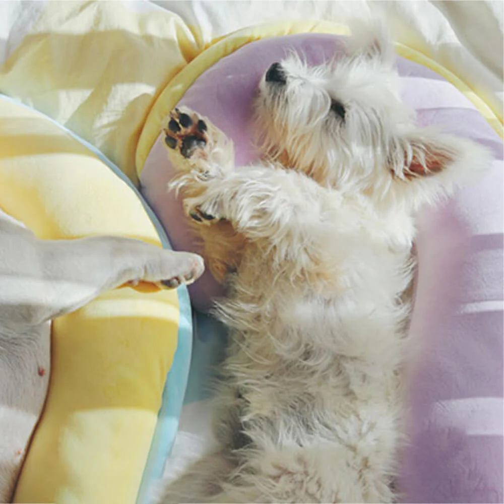 Orthopaedic Spine-Support Pillow Dog Sleep Pillow - Image 7