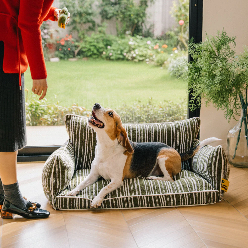 Orthopedic All-season Dog Sofa Bed - Funnyfuzzy SnugNest - Image 10