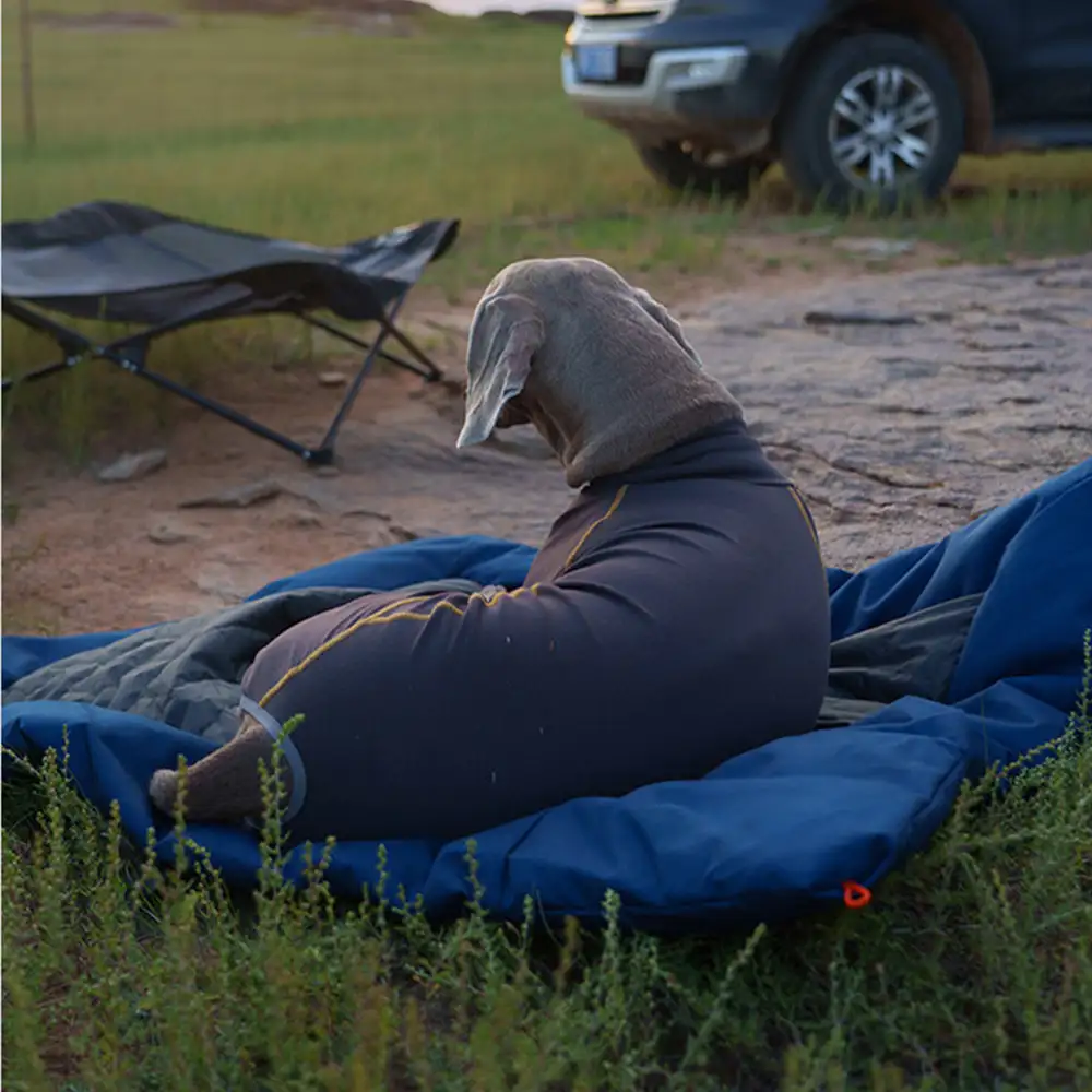 Outdoor Campsite Moisture-Proof And Waterproof Portable Dog Bed - Image 3