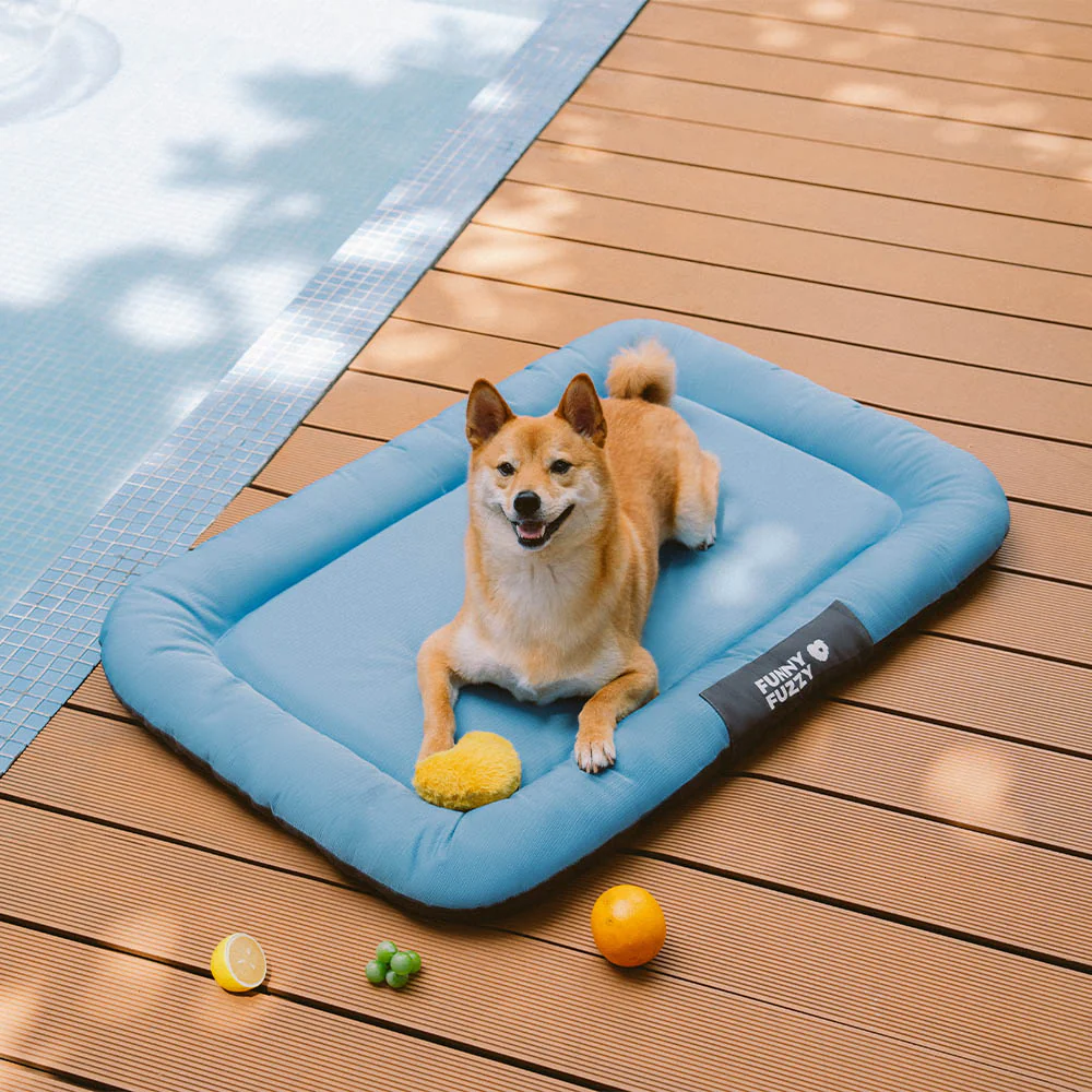 Outdoor Waterproof & Scratch-Resistant Colour-Blocked Orthopaedic Dog Mat - Trek Lounge