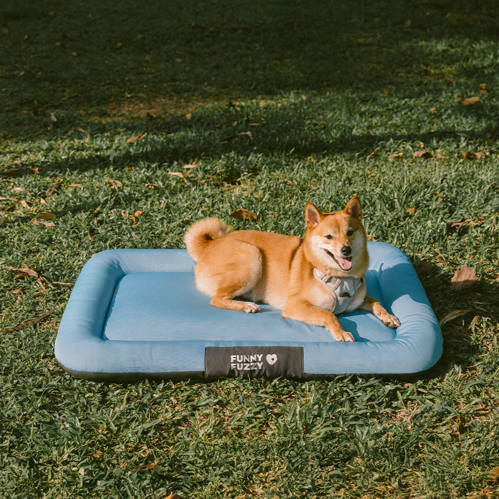 Outdoor Waterproof & Scratch-Resistant Colour-Blocked Orthopaedic Dog Mat - Trek Lounge - Image 12
