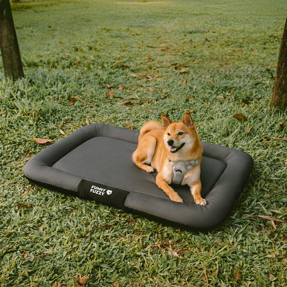 Outdoor Waterproof & Scratch-Resistant Colour-Blocked Orthopaedic Dog Mat - Trek Lounge - Image 16