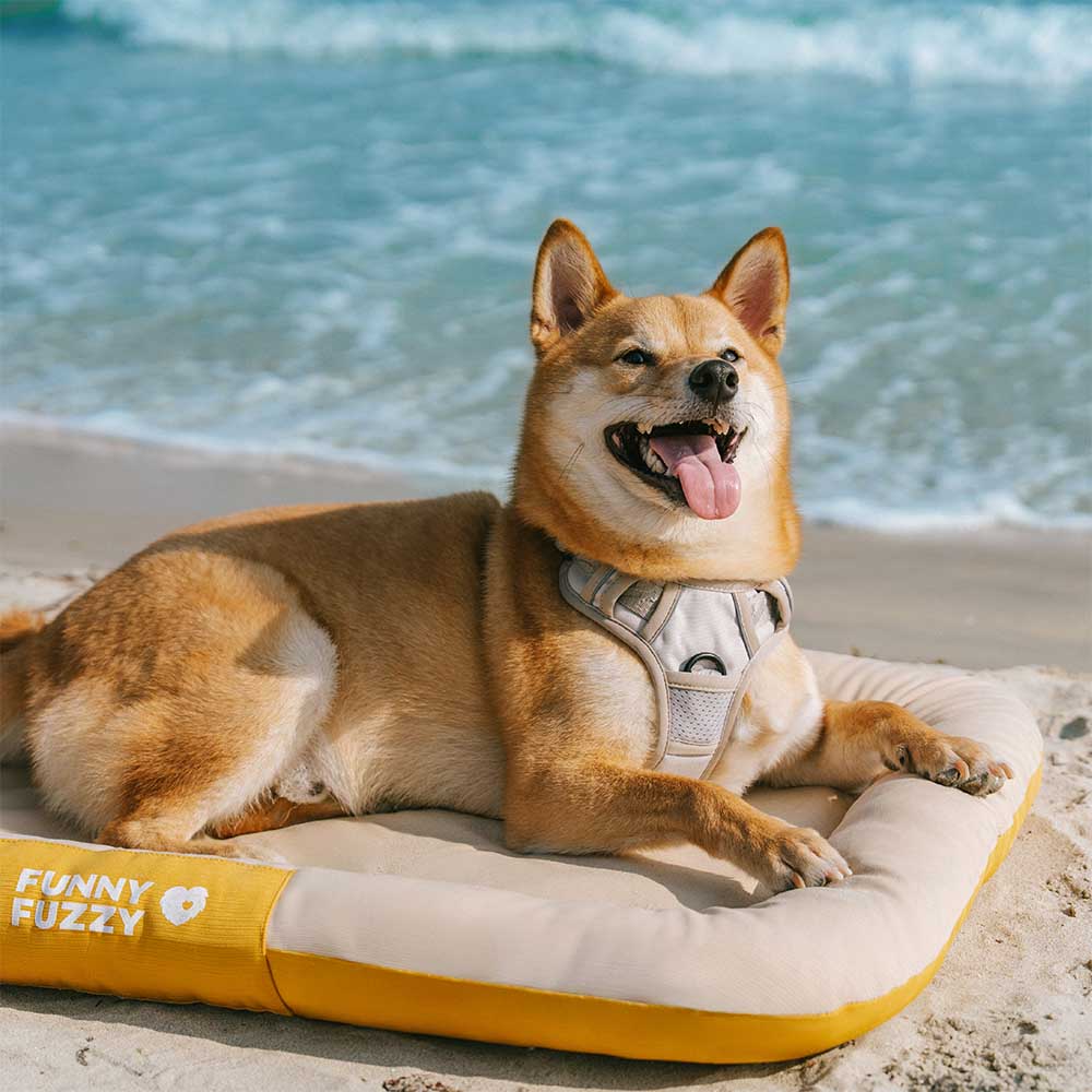 Outdoor Waterproof & Scratch-Resistant Colour-Blocked Orthopaedic Dog Mat - Trek Lounge - Image 19