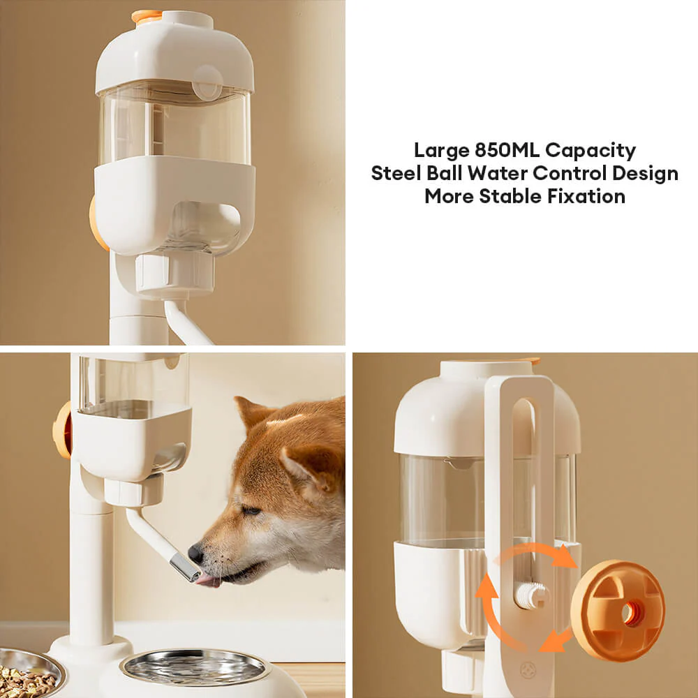 Pet Feeding Bowl Station Food Dispenser With Automatic Water - Image 9