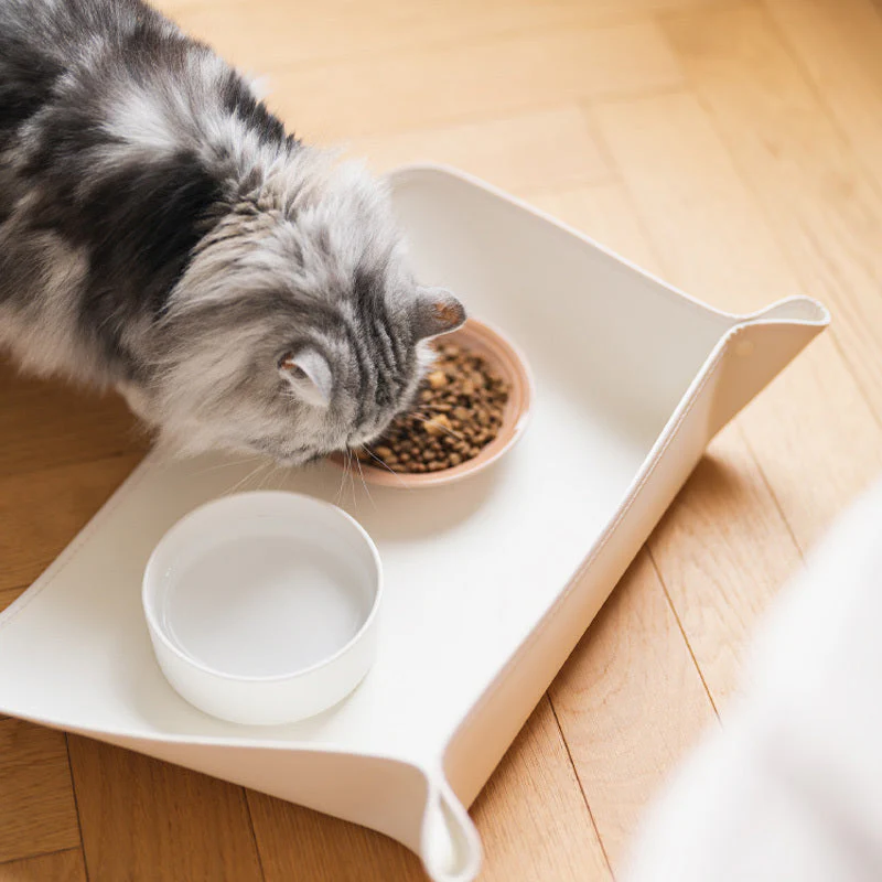 Pet Spill-proof Place Mats Waterproof & Greaseproof Bowl Mat - Image 3