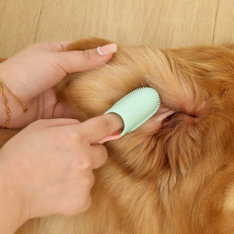 Pet Toothbrush Finger Toothbrush for Teeth Cleaning-Limited Quantity - Image 12