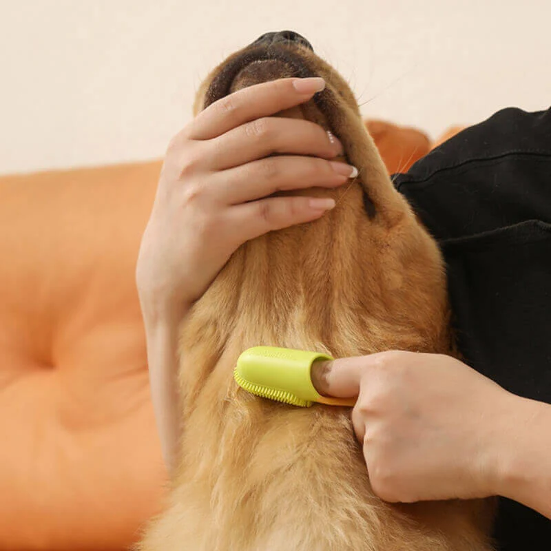 Pet Toothbrush Finger Toothbrush for Teeth Cleaning-Limited Quantity - Image 13