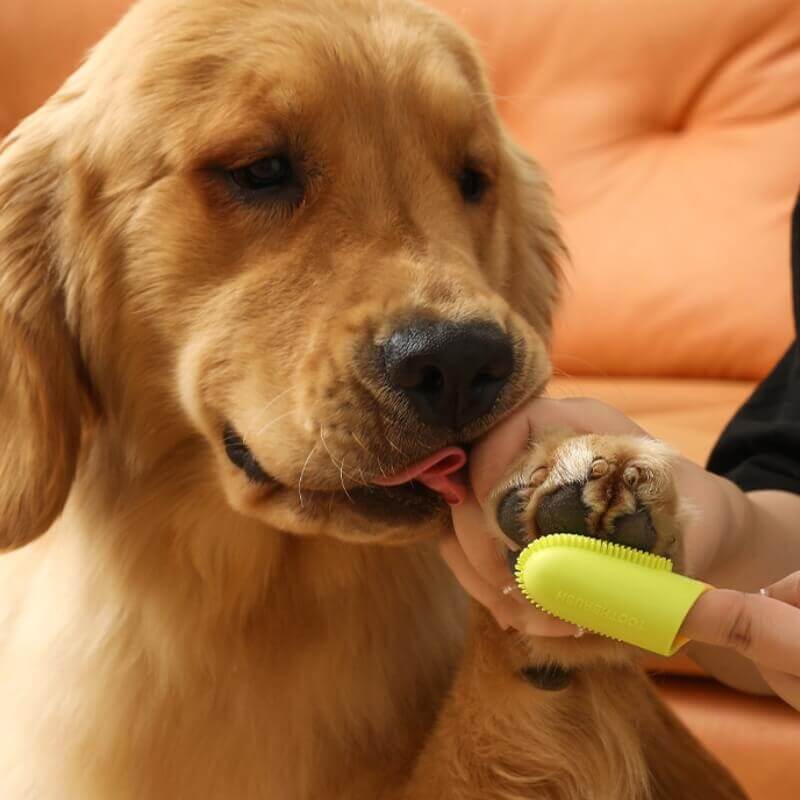 Pet Toothbrush Finger Toothbrush for Teeth Cleaning-Limited Quantity - Image 14