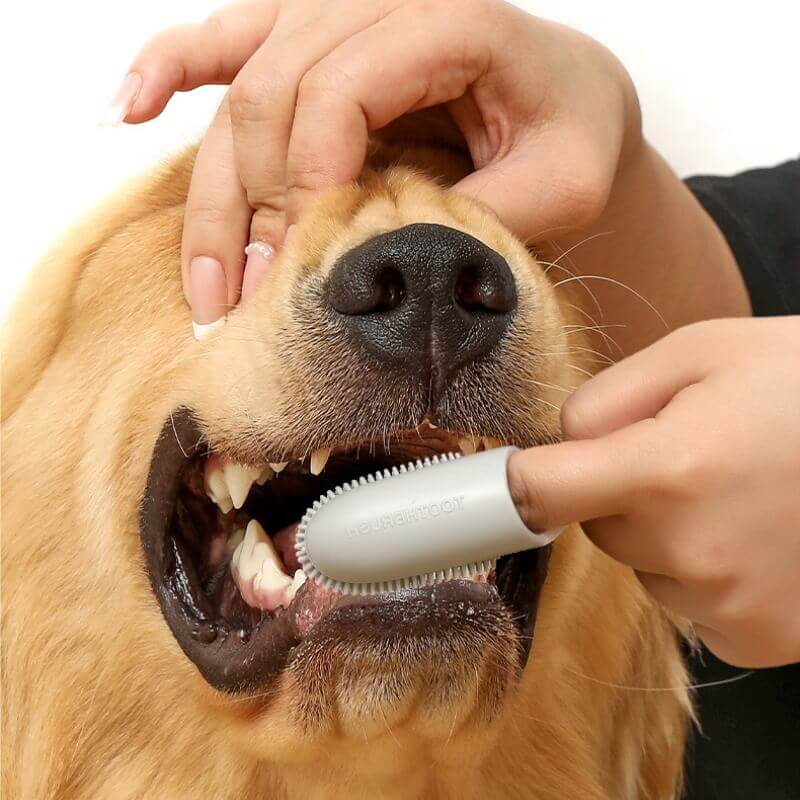 Pet Toothbrush Finger Toothbrush for Teeth Cleaning-Limited Quantity - Image 3