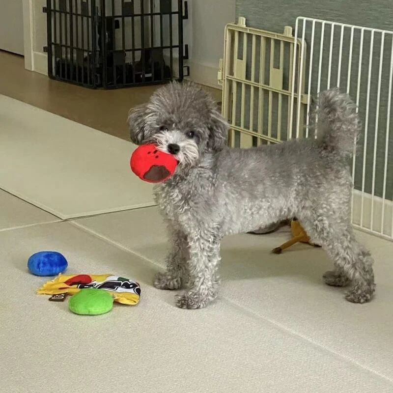 Plush Candy Toys Tibetan Food Toys Dog Toys - Image 3